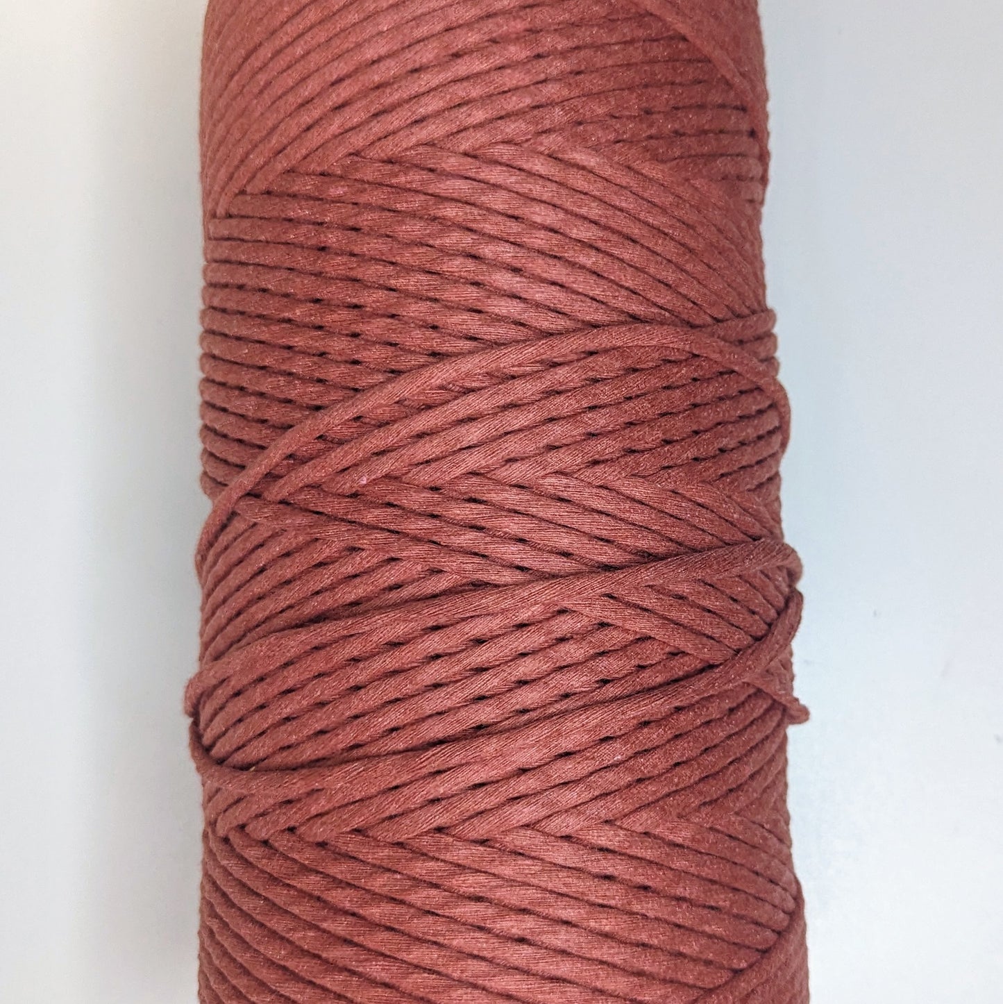 Plant Hanger DIY Kit