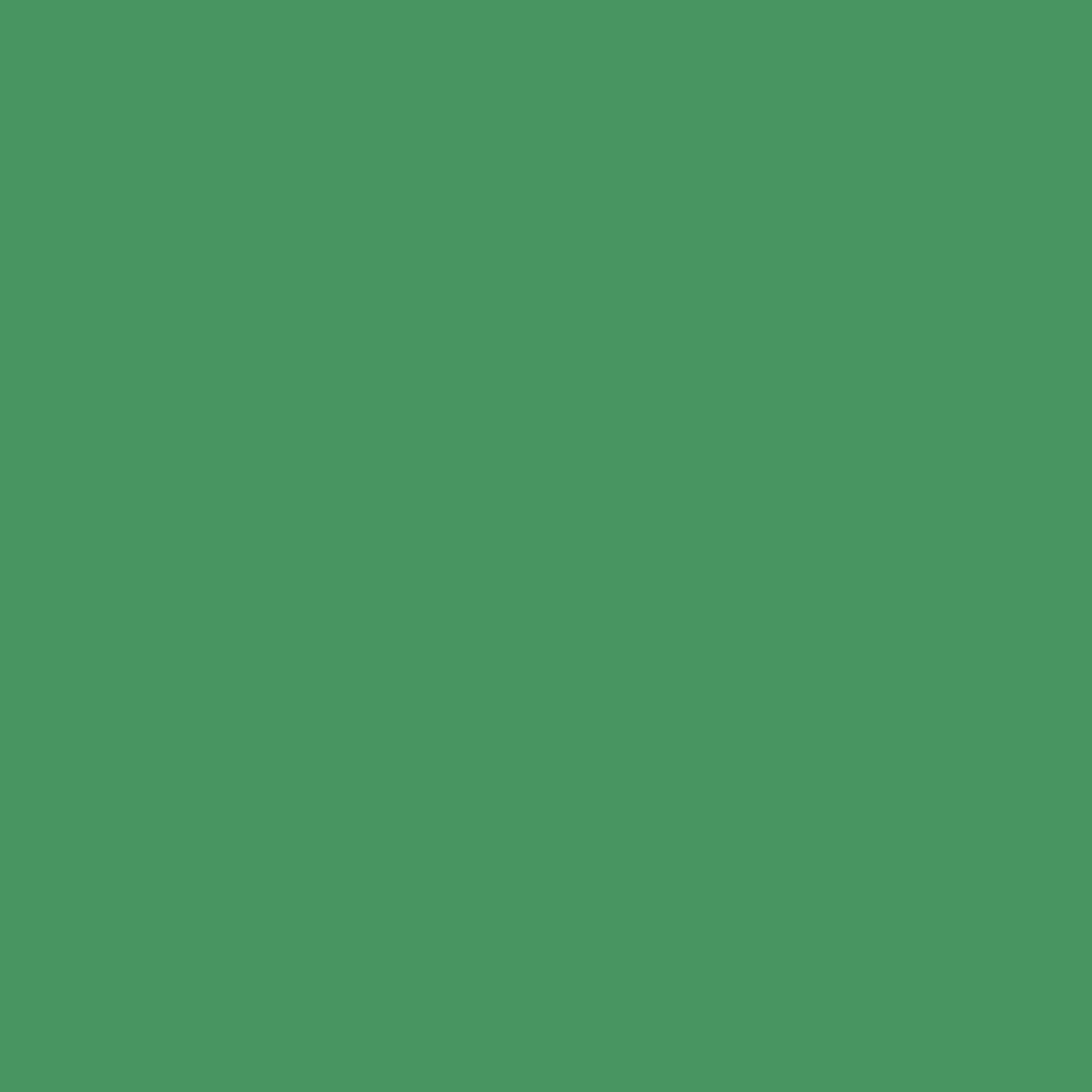 Holly Jolly Base for Crochet and Basket Coiling 5-inch