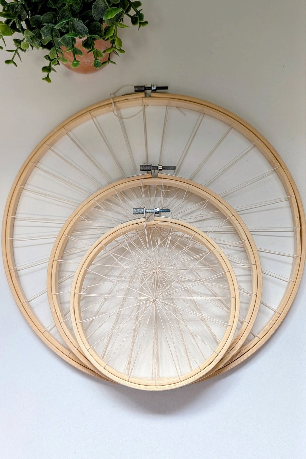 Warped Embroidery Hoop